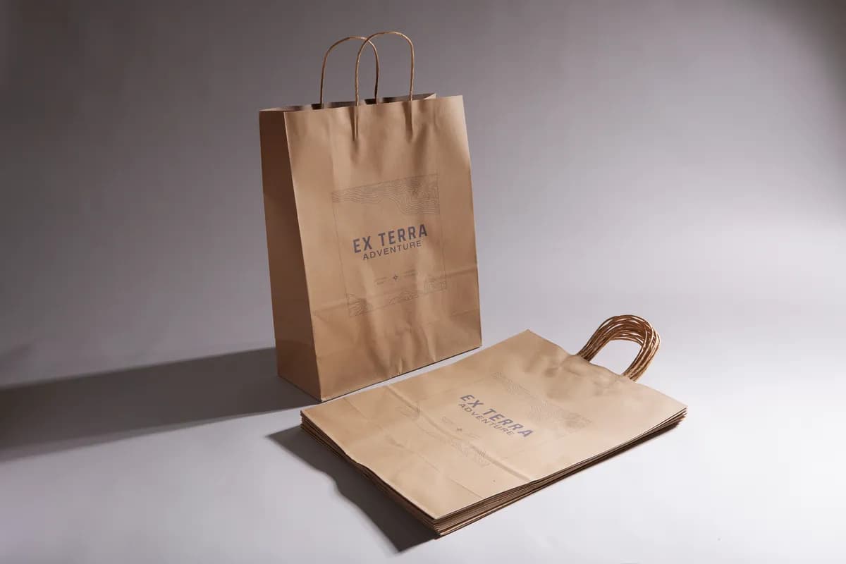 Paper Bags 4