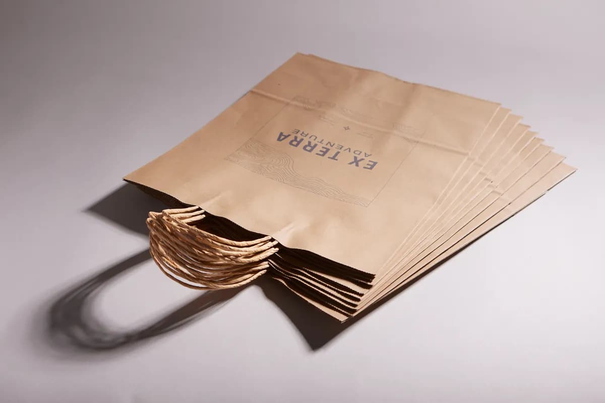 Paper Bags 6